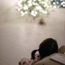 벨르 | 까사무띠 트리 전구일체형 190cm 벨벨상점 샤인벨르 보그 후기