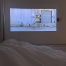 사라보카 이미지