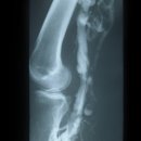 우리외과의원 이미지