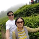 등대펜션 이미지