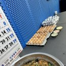 25년3월15일 쏭탁가고싶은리그 2인단체전 이모저모
