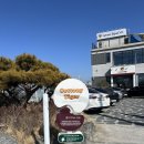 진영대형차정비 | 김해 진영 대형카페 코트니 타이거 김해 진영점 방문 후기