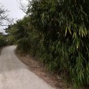 팔공포레스트 이미지