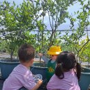 해뜰 어린이집 이미지