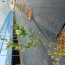 상서농장 이미지