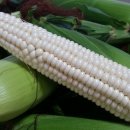 골말농장 이미지