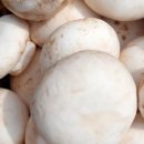 부여하늘농장2 이미지