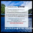 용인 수영장 추천 셀프바베큐장&amp;불멍카페 기찬관광농원 자연 지하수 수영장과 바베큐 즐기기