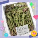 마인드플러스 사무실에 찾아온 봄 향기 🌿 근로자분이 보내주신 귀한 '두릅' 나눔 후기!