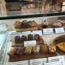 오델리스 이미지