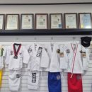 힘찬태권도 이미지