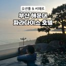 [부산 해운대] 파라다이스호텔 씨메르 오션풀 조식 내돈내산 후기 및 꿀팁