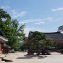 금강순대 이미지