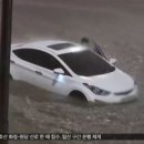 강남-004 이미지