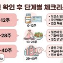 유경세탁 | 2026년 임산부 정부 지원금 100만원 받는 법 | 초기·중기·후기 시기별 임신 가이드