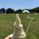 삼광목장 | 제주도 여기저기