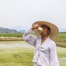 함안농요 이미지