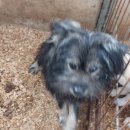 화수1리 경로당 이미지