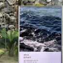 코지카페 이미지