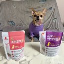 퍼피키티 | 강아지 덴탈껌 추천 관절 유산균 영양제 퍼피랑키티랑 펫츄 개껌