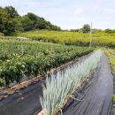 산우물농장 이미지