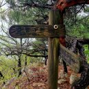 발랑1리 이미지