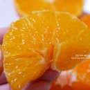 까망농장 이미지