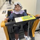 팜랜드동물병원 | [분기일기] 2024년 4분기 일기