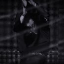 가지스테이 이미지