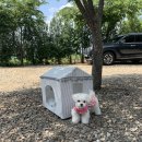 하늘연 캠핑장 이미지