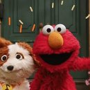 pet227나2018 이미지