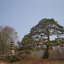 용천리 오층석탑 이미지