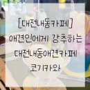 내동애견 이미지