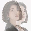 나비(NAVI) - 송파구 | 나비(NAVI)