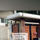 화실블루비