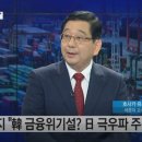 호사카 유지 "'제2의 IMF' 경고, 가짜뉴스" 이미지