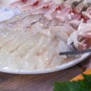 대구회식당 - 포항시 북구 죽도시장길 33 | 대구회식당