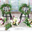 몰운대초등학교 이미지