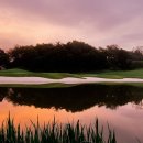 알프스대영CC 이미지