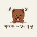 희망 애견 미용실 이미지