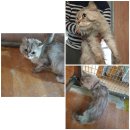 와우로34번길 이미지