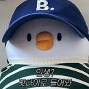 쌤하우스 이미지