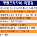 서초동 광일빌딩 이미지