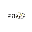 온니애견미용 이미지