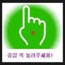 대발이네강경젓갈
