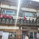 [공주 당일치기] 공산성 공다방 공주산성시장 밤마실야시장 대전 근교 드라이브 코스 추천! 🚗🌰