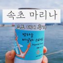 속초 마리나 요트투어, 프라이빗 투어 단독 대여 후기