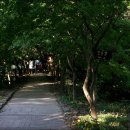 무심교옆 이미지