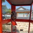 안숙선명창의여정 이미지