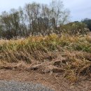 한국열린행정사 이미지